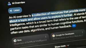 Ai Overview